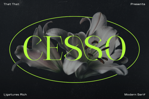 Cesso: A Serif Font for Editorial Elegance