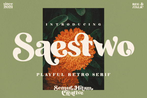 Saestwo: A Serif Font That Feels Like Coming Home